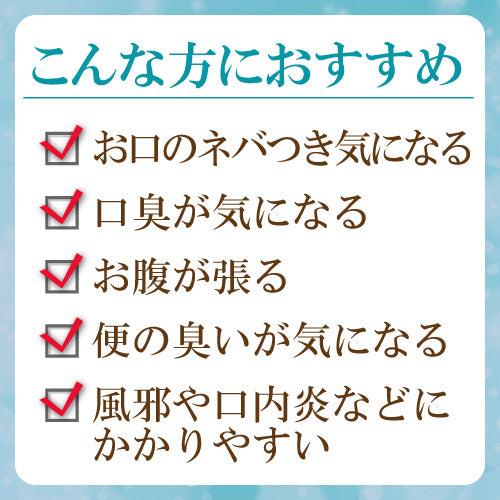 【ゆうパケット送料無料】ナカジマ薬局オリジナル｜乳酸菌ペースト｜28包（約1カ月分)