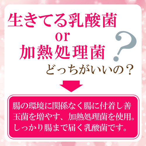 ■定期購入■【ゆうパケット送料無料】ナカジマ薬局オリジナル｜乳酸菌ペースト｜28包（約1カ月分)