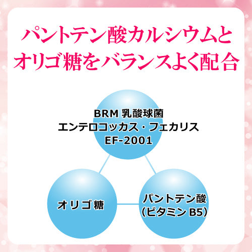 ■定期購入■【ゆうパケット送料無料】ナカジマ薬局オリジナル｜乳酸菌ペースト｜28包（約1カ月分)